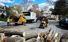 Best Tree and Shrub Care  in Uniontown, AL